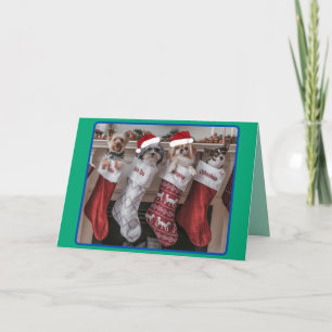 Kerstmis Kleine Hond Mantel Vakantiewenskaart Feestdagen Kaart