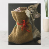 KERSTMIS KNIP OGEND KERPEL VERRASTINGEN Wenskaart Kaart (Voorkant)