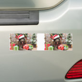 Kerstmis - LabraDoodle - Harley Bumpersticker (Op auto)