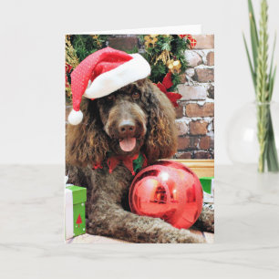 Kerstmis - LabraDoodle - Harley Feestdagen Kaart