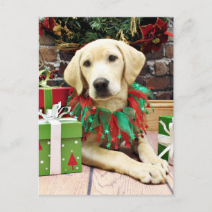Kerstmis - Labrador - Buck Feestdagenkaart
