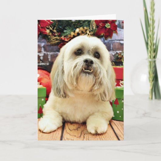 Kerstmis - Lhasa Apso - solo Feestdagen Kaart (Voorkant)