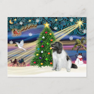 Kerstmis Magic Newfoundland (Landseer) Feestdagenkaart