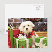 Kerstmis - Maltees - Flits Feestdagenkaart (Voorkant / Achterkant)