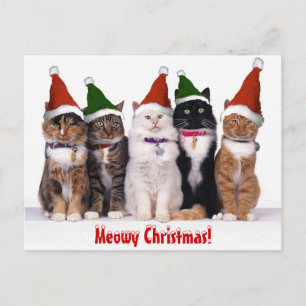 "Kerstmis Meowy!" Katten Feestdagenkaart