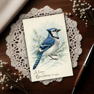 Kerstmis met Blauwe Gaai uit 1908 Briefkaart