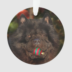 Kerstmis met een zwarte hond ornament