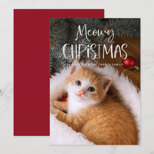 Kerstmis met Miauw Grappige Foto van Cute Huiska Feestdagenkaart