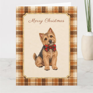 Kerstmis met Norwich Terrier Kaart
