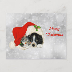 Kerstmis met Pet met kerstmis met Cute Dog Cat San Briefkaart