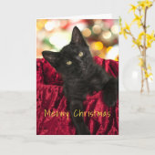 Kerstmis met poes Zwarte Kittens Kerstkaart Kaart (Gele Bloem)