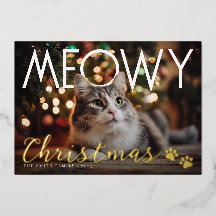 Kerstmis met poezen Modern Foto Kerstkaart