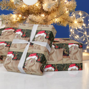 Kerstmis met weimaraner Dog Cadeaupapier