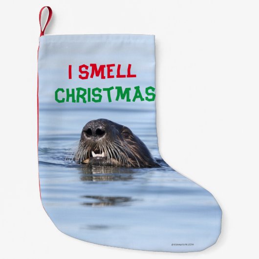 Kerstmis met zee otter kleine kerstsok (Voorkant)