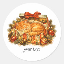 Kerstmis Oranje Kat Slaap Cadeausdoos Retro