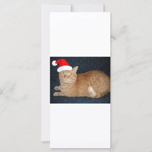Kerstmis Oranje Tabby Cat (Voorkant)