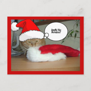 Kerstmis Oranje Tabby Cat Feestdagenkaart