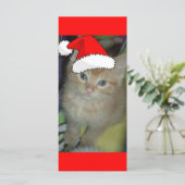 Kerstmis Oranje Tabby Kitten (Staand voorkant)