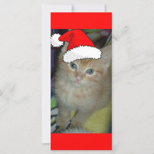 Kerstmis Oranje Tabby Kitten (Voorkant)