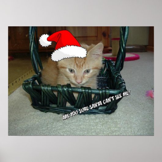 Kerstmis Oranje Tabby Kitten Poster (Voorkant)