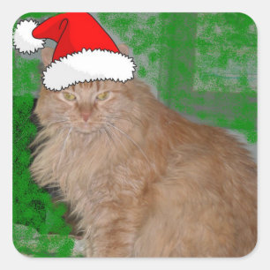 Kerstmis Oranje Tabby Kitten Vierkante Sticker