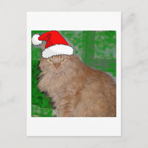 Kerstmis Oranje Tabby Kitty Cat Feestdagenkaart