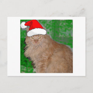 Kerstmis Oranje Tabby Kitty Cat Feestdagenkaart