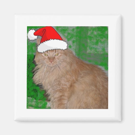 Kerstmis Oranje Tabby Kitty Cat Magneet (Voorkant)