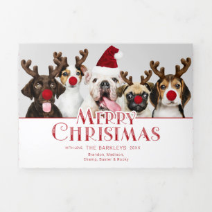 Kerstmis Pet Typography Foto Stippen Drieluik Wenskaart