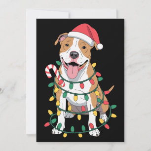 Kerstmis Pitbull Hond Sinterklaas Hoed Lichten Sui Kaart