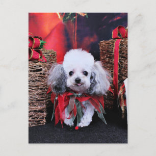 Kerstmis - Poedel - Lilly Feestdagenkaart
