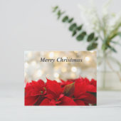 Kerstmis Poinsetta Briefkaart (Staand voorkant)