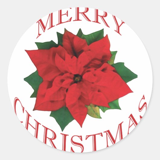 Kerstmis Poinsetta Ronde Sticker (Voorkant)