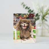 Kerstmis - Pomeranian - Fred Feestdagenkaart (Staand voorkant)