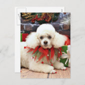 Kerstmis - Poodle - Sophie Feestdagenkaart (Voorkant / Achterkant)