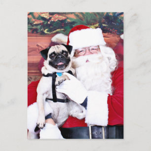 Kerstmis - Pug - Harvey Feestdagenkaart