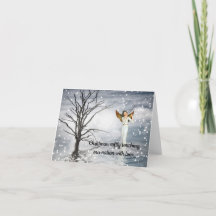 Kerstmis raakt onze natie met liefde