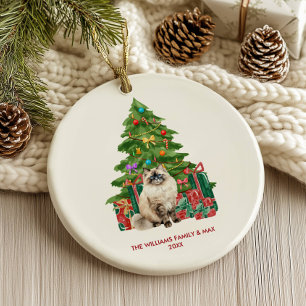 Kerstmis Ragdoll Kat Kerst Ornament