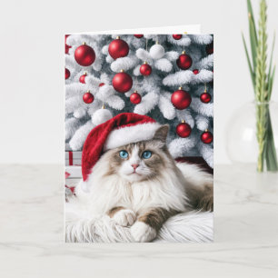 Kerstmis Ragdoll kat met een kerstman hoed Kaart