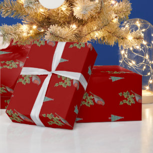 Kerstmis Robin en de illustratie van de Cadeaupapier