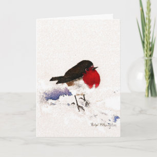 Kerstmis Robin Feestdagen Kaart