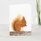 Kerstmis Rode Eekhoorn Kaart (Voorkant)