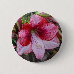 Kerstmis: Rode feestdag Floral Ronde Button 5,7 Cm