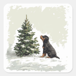 Kerstmis Rottweiler Hond Kerstboom Vierkante Sticker