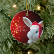 Kerstmis Santa Bunny