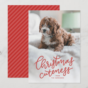 Kerstmis schattigheid cute huisdier vakantiekaart feestdagenkaart