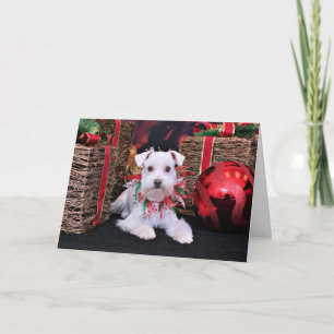 Kerstmis - Schnauzer - Emma Feestdagen Kaart