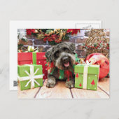 Kerstmis - Schnoedle - Dexter Feestdagenkaart (Voorkant / Achterkant)