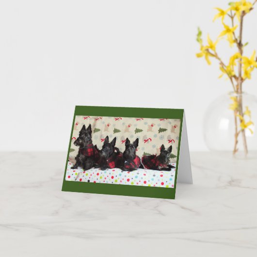 Kerstmis Scotties Kaart (Gele Bloem)