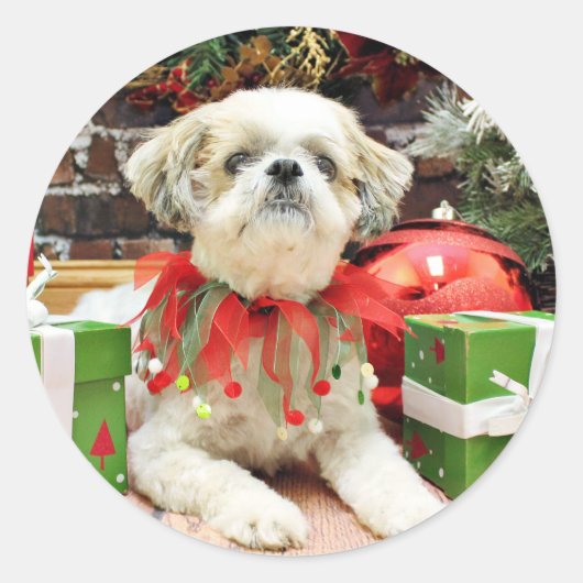 Kerstmis - Shih Tzu - Bailey Ronde Sticker (Voorkant)